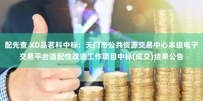 配先查 XD品茗科中标：天门市公共资源交易中心本级电子交易平台适配性改造工作项目中标(成交)结果公告