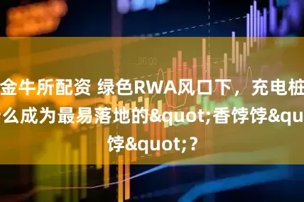 金牛所配资 绿色RWA风口下，充电桩凭什么成为最易落地的"香饽饽"？
